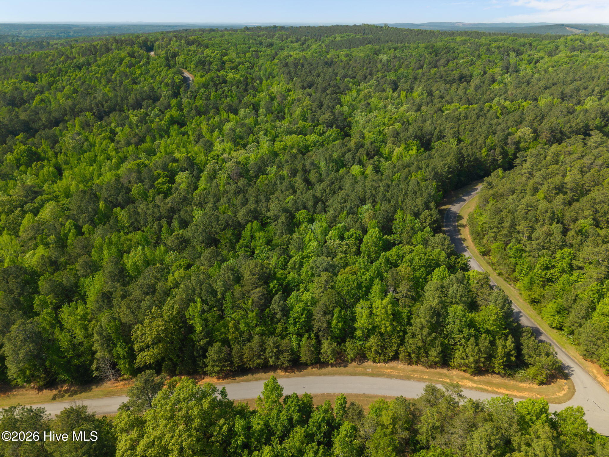 125 Lennox Loop Rockingham, NC 28379 - Photo 6 of 14 8-web-or-mls-DJI_20260415155827_0227_D