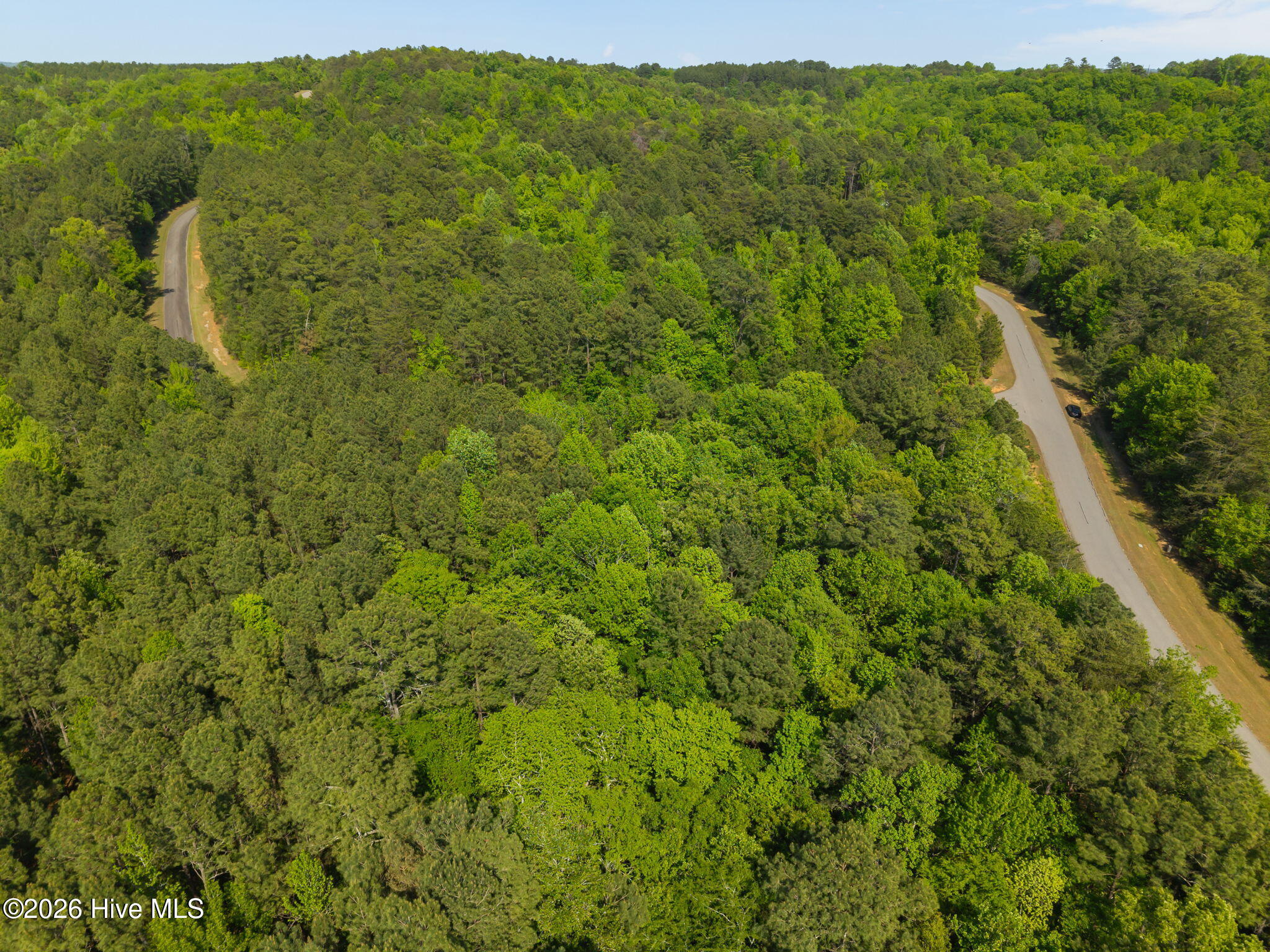 125 Lennox Loop Rockingham, NC 28379 - Photo 7 of 14 3-web-or-mls-DJI_20260415154955_0221_D