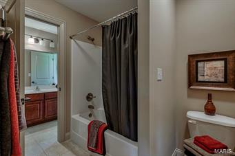 12531 Ridgefield Drive St. Louis, MO 63131 - Photo 62 of 67