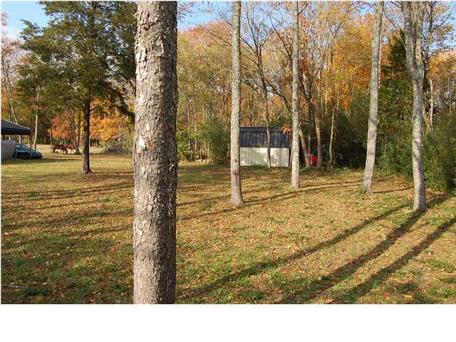 50 Fenceline Road Dunlap, TN 37327 - Photo 4 of 7 Additional Photo