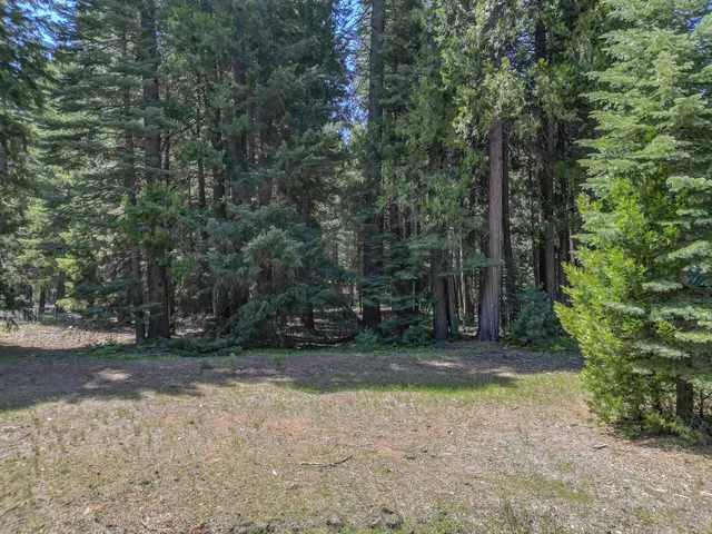 $14,500 | Nehemiah Drive, Shingletown, CA 96088