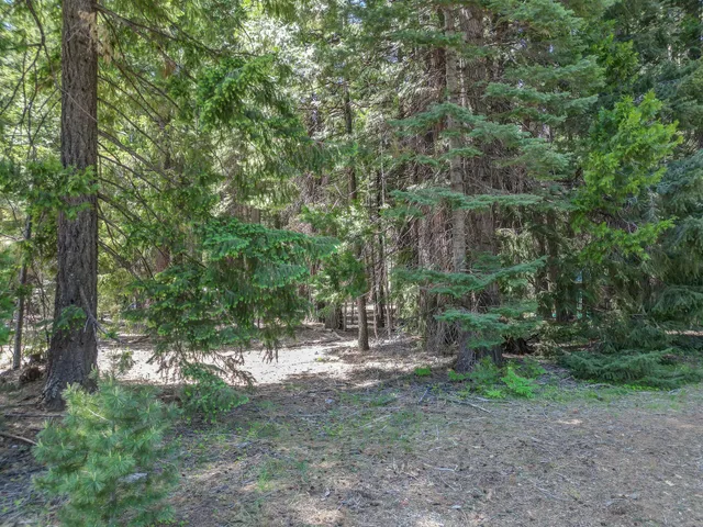 $14,500 | Nehemiah Drive, Shingletown, CA 96088