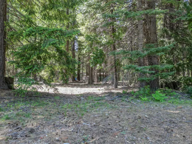$14,500 | Nehemiah Drive, Shingletown, CA 96088