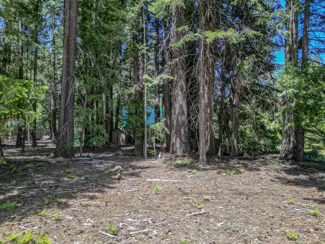 $14,500 | Nehemiah Drive, Shingletown, CA 96088