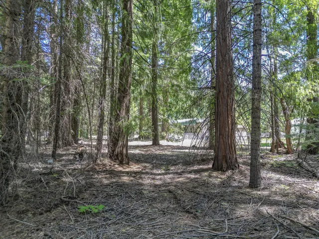 $14,500 | Nehemiah Drive, Shingletown, CA 96088