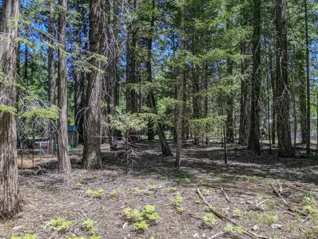 $14,500 | Nehemiah Drive, Shingletown, CA 96088