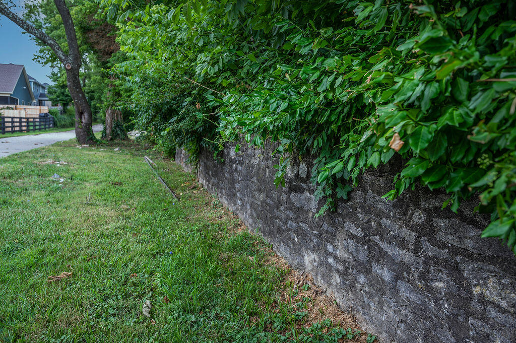 2205 Rutledge Avenue Lexington, KY 40509 - Photo 58 of 60 TDB_2374