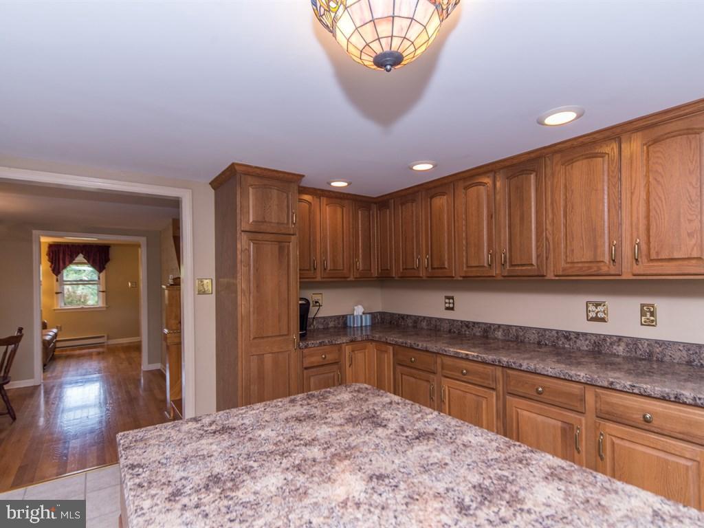 1513 Picnic Grove Road Manheim, PA 17545 - Photo 19 of 58