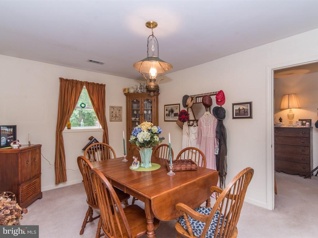 1513 Picnic Grove Road Manheim, PA 17545 - Photo 51 of 58