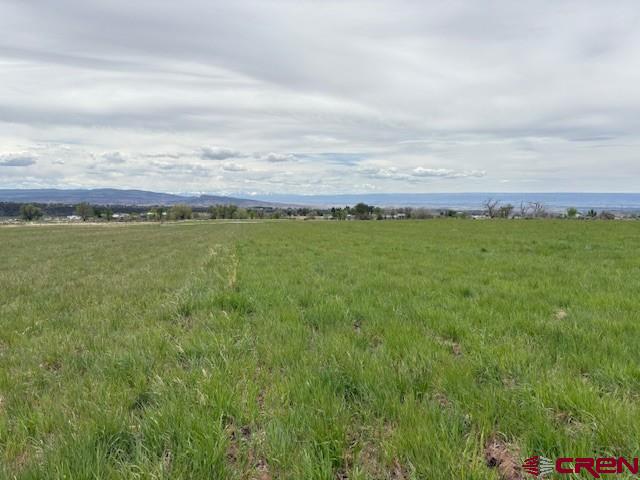 15736 2600th Road Cedaredge, CO 81413 - Photo 35 of 43 Gallery Image 35