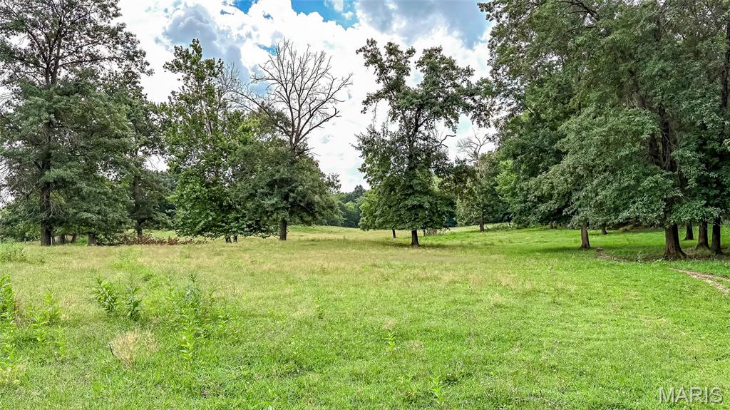 Along Wine Hill Road Steeleville, IL 62288 - Photo 78 of 95 Gallery Image 78