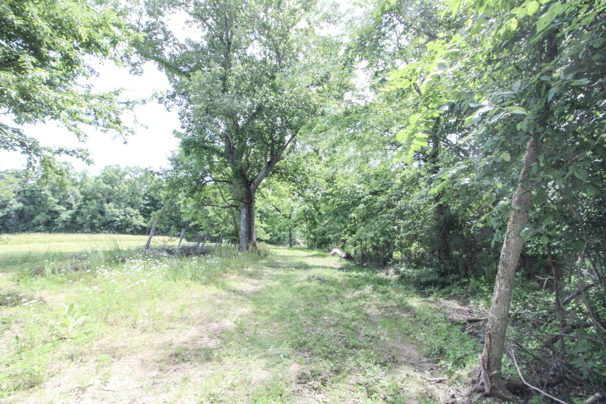 Lot 1 Mulberry Road Mount Perry, OH 43760 - Photo 16 of 31 17-IMG_8663