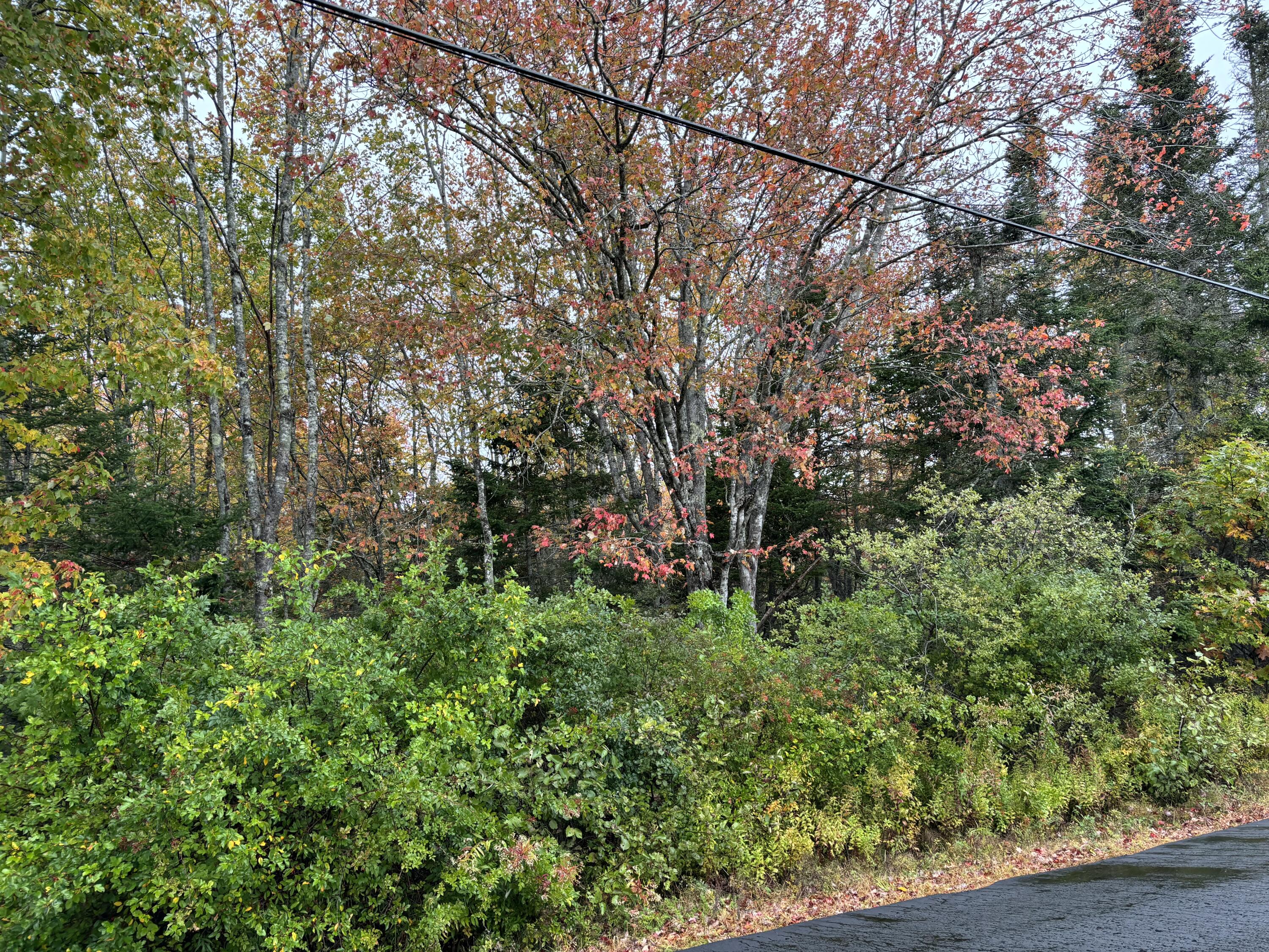 253 Hathorne Point Road Cushing, ME 04563 - Photo 3 of 12
