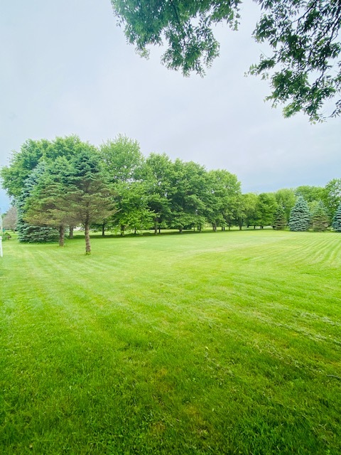 376 Rock Island Road Dixon, IL 61021 - Photo 3 of 3