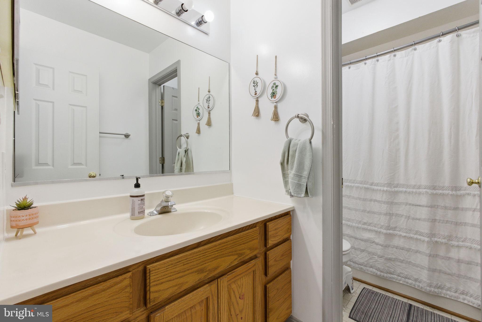 44913 Widgeon Place Callaway, MD 20620 - Photo 37 of 49 a bathroom with a sink and a mirror