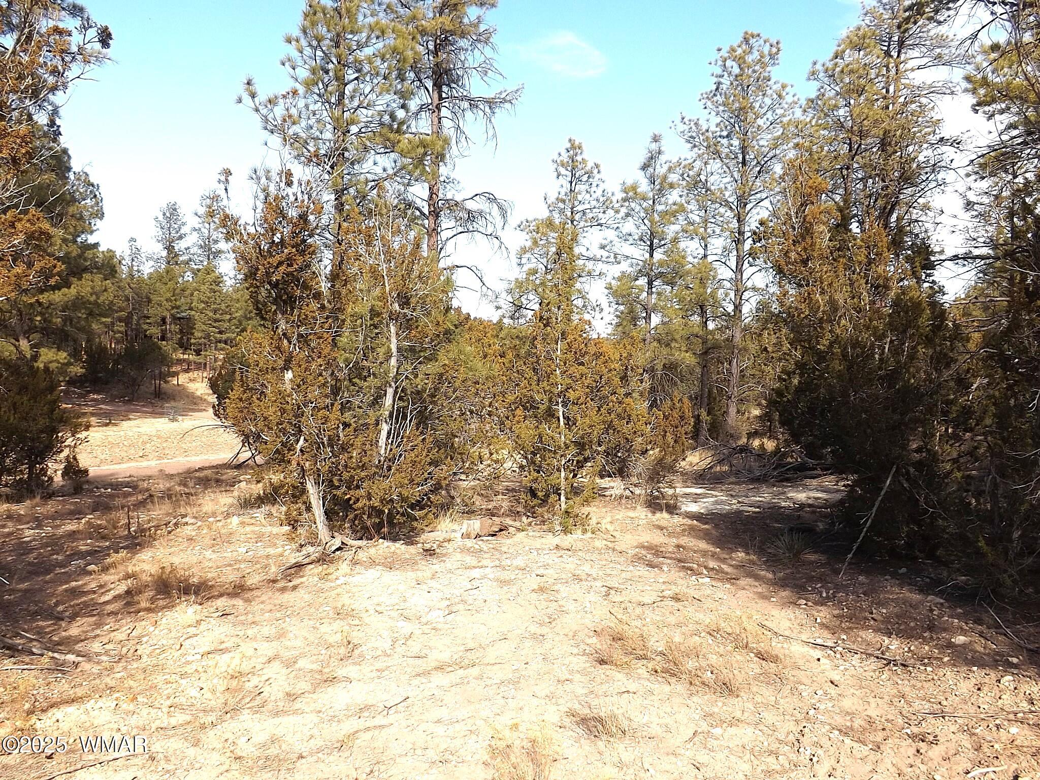 3341 Sawmill Ridge Loop Heber, AZ 85928 - Photo 6 of 8 a view of snow on a road