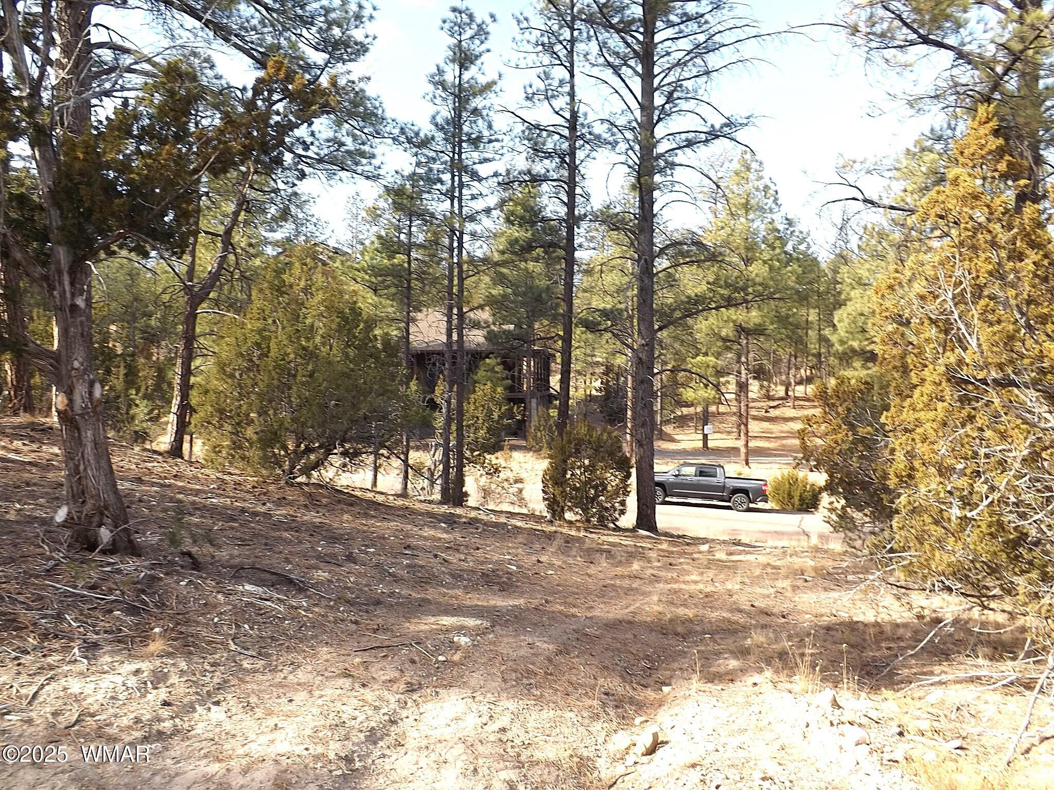 3341 Sawmill Ridge Loop Heber, AZ 85928 - Photo 7 of 8 a house with trees in front of it