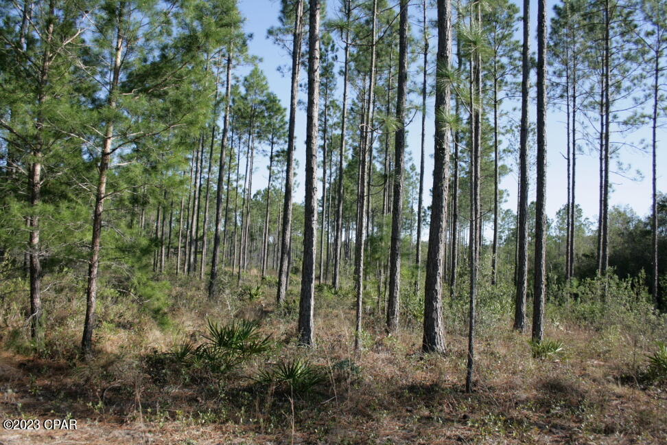 19732 Timbercrest Road Fountain, FL 32438 - Photo 39 of 40