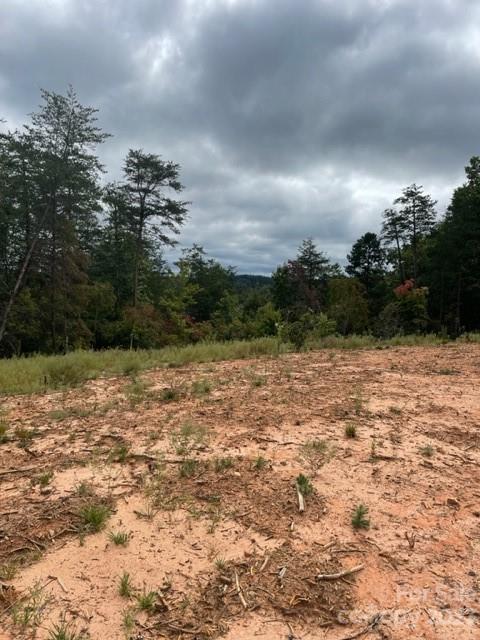 0 Blessed Valley Ln Mill Spring Mill Spring, NC 28756 - Photo 11 of 12