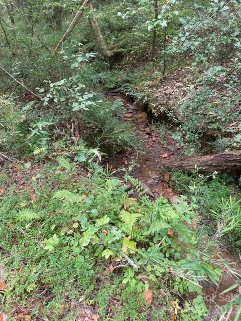 0 Blessed Valley Ln Mill Spring Mill Spring, NC 28756 - Photo 2 of 12 a view of a lush green forest with lots of trees