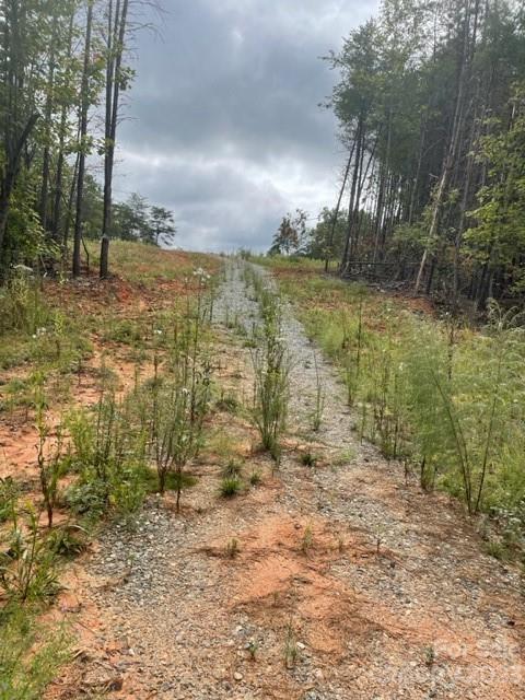 0 Blessed Valley Ln Mill Spring Mill Spring, NC 28756 - Photo 5 of 12