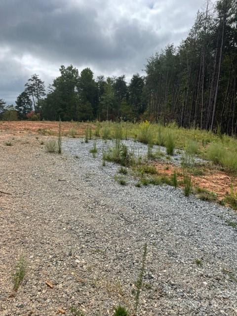 0 Blessed Valley Ln Mill Spring Mill Spring, NC 28756 - Photo 8 of 12 a view of a dry yard with trees