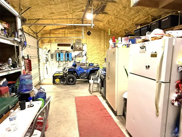 a view of a forest filled with trees