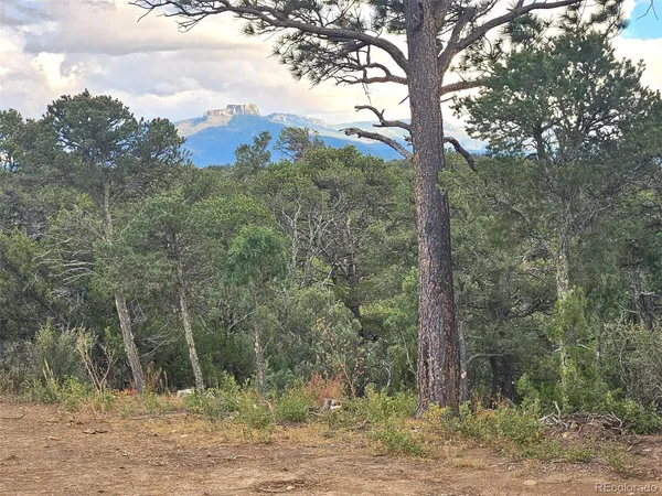 a view of outdoor space with trees