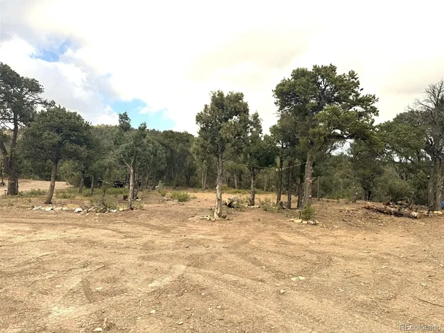 a view of a book shelf