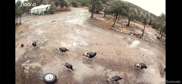 a view of a backyard of a house