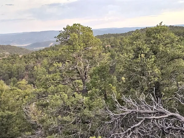 a view of a garage and a couch