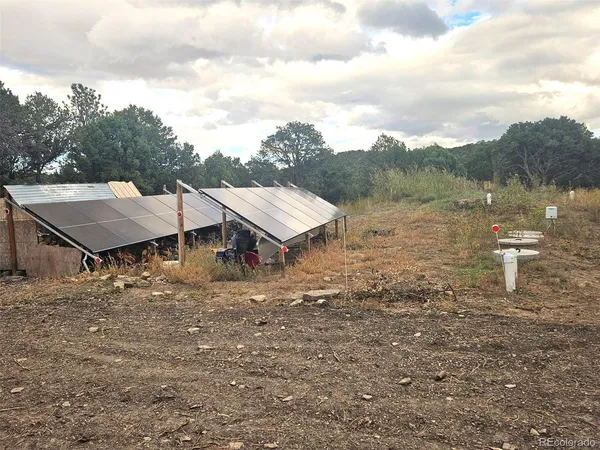a view of outdoor space with trees all around