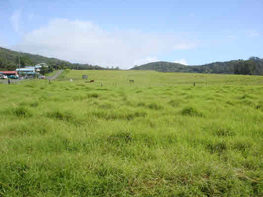 5 E White Road Kamuela, HI 96743 - Photo 1 of 6 Gallery Image 1