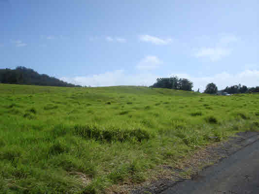 5 E White Road Kamuela, HI 96743 - Photo 2 of 6 Gallery Image 2