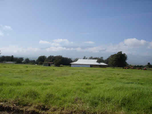 5 E White Road Kamuela, HI 96743 - Photo 4 of 6 Gallery Image 4