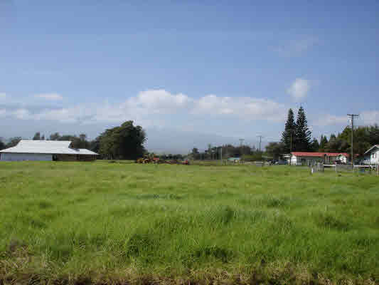 5 E White Road Kamuela, HI 96743 - Photo 5 of 6 Gallery Image 5