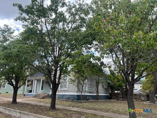 a tree in the middle of a yard