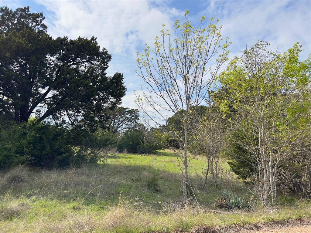 925 Cedar Ridge Road Gatesville, TX 76528 - Photo 9 of 15