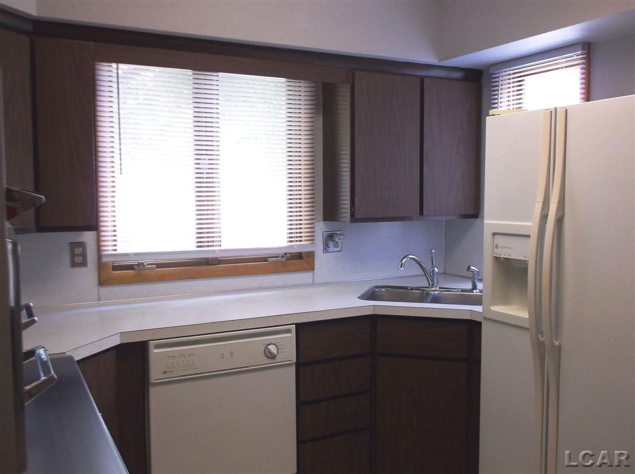 320 East Maple Avenue Adrian, MI 49221 - Photo 3 of 32 31379860-2.JPG