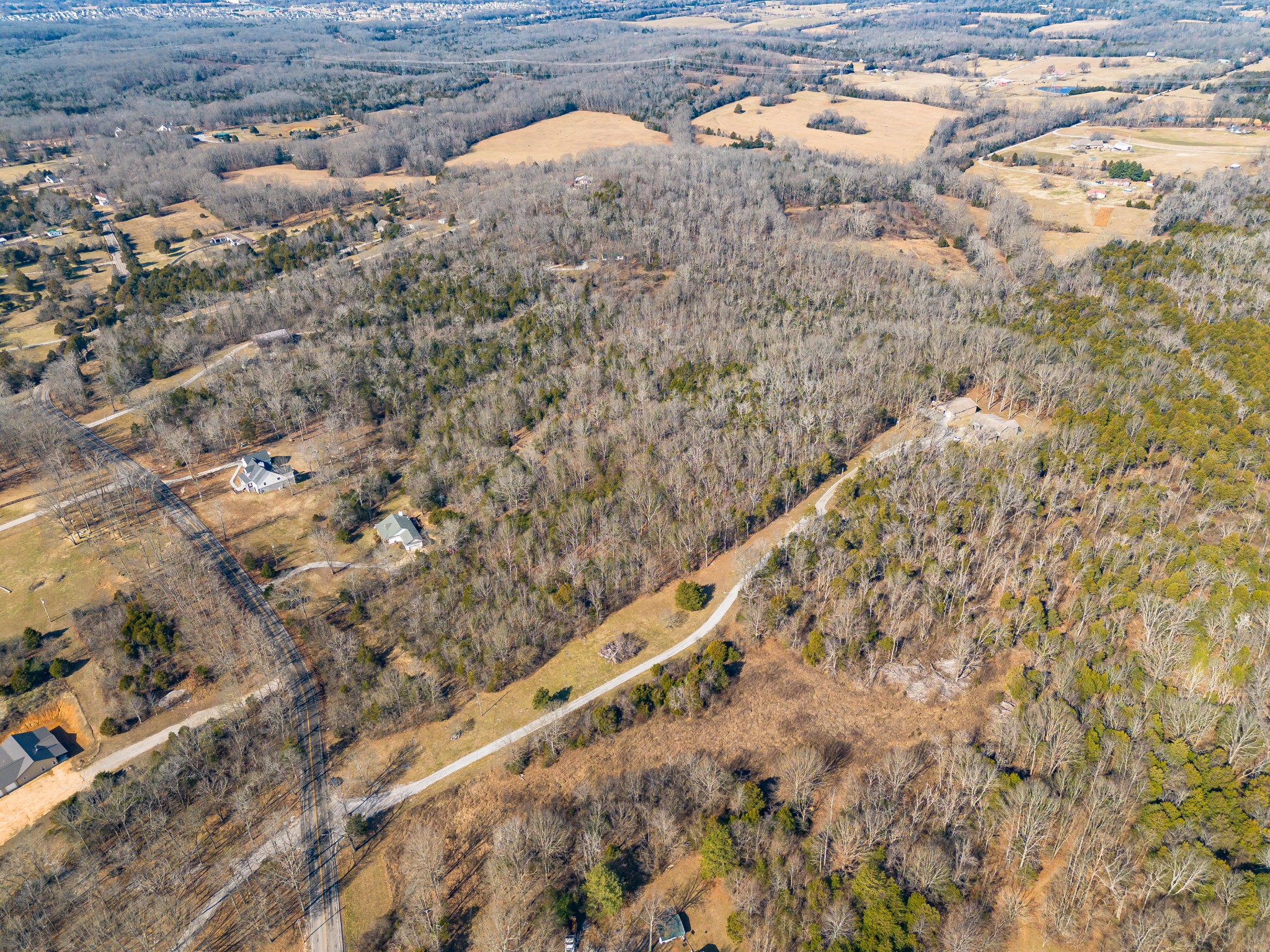 0 Joe Peay Road Spring Hill, TN 37174 - Photo 19 of 29 a close up of a plant in a field