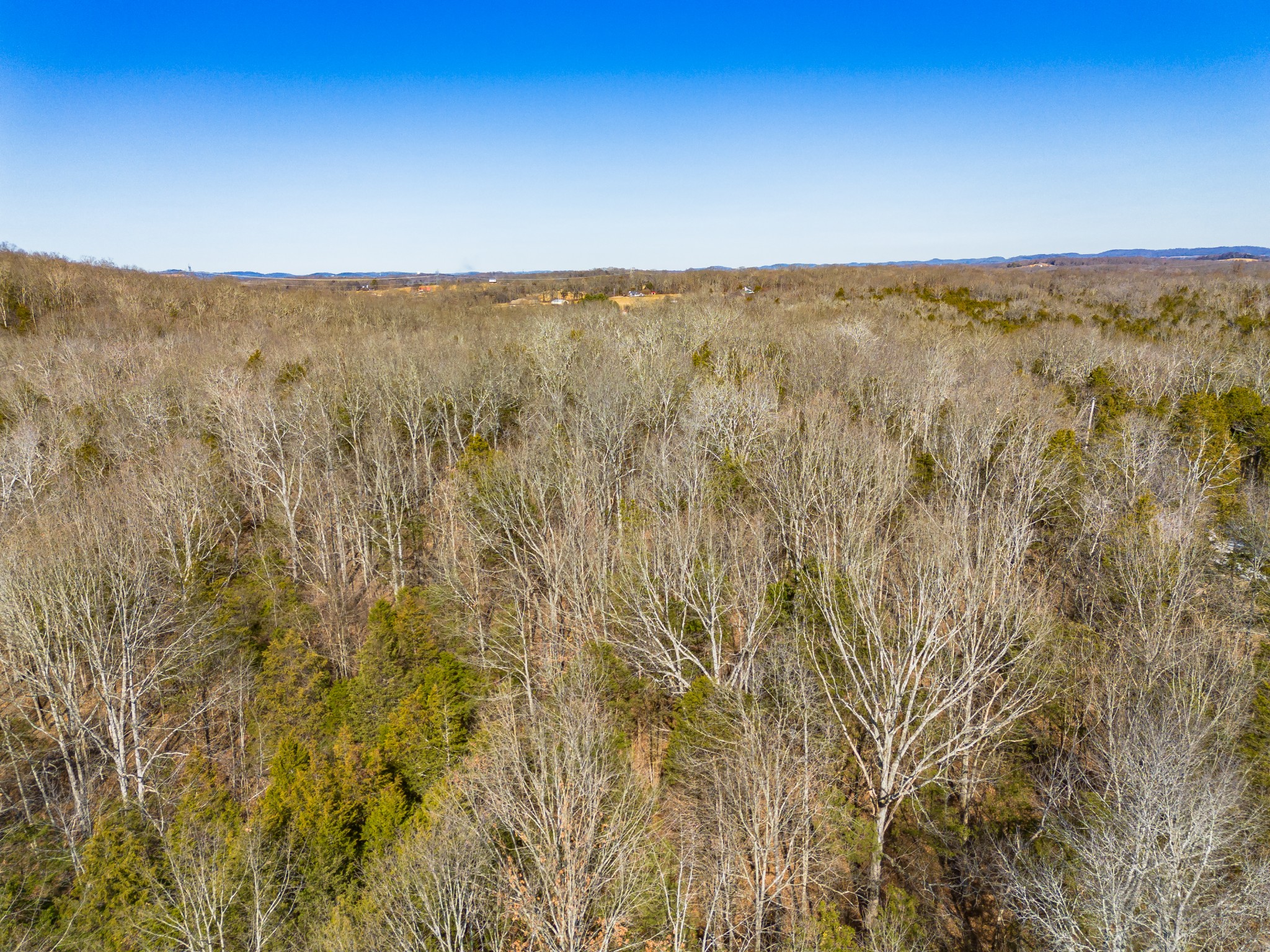 0 Joe Peay Road Spring Hill, TN 37174 - Photo 7 of 29 a view of city and mountain