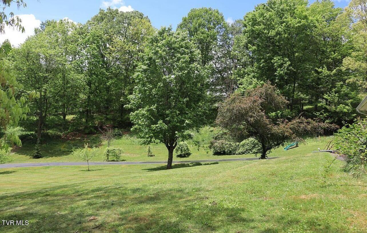 3219 Dungannon Road Coeburn, VA 24230 - Photo 13 of 65 Yard 10