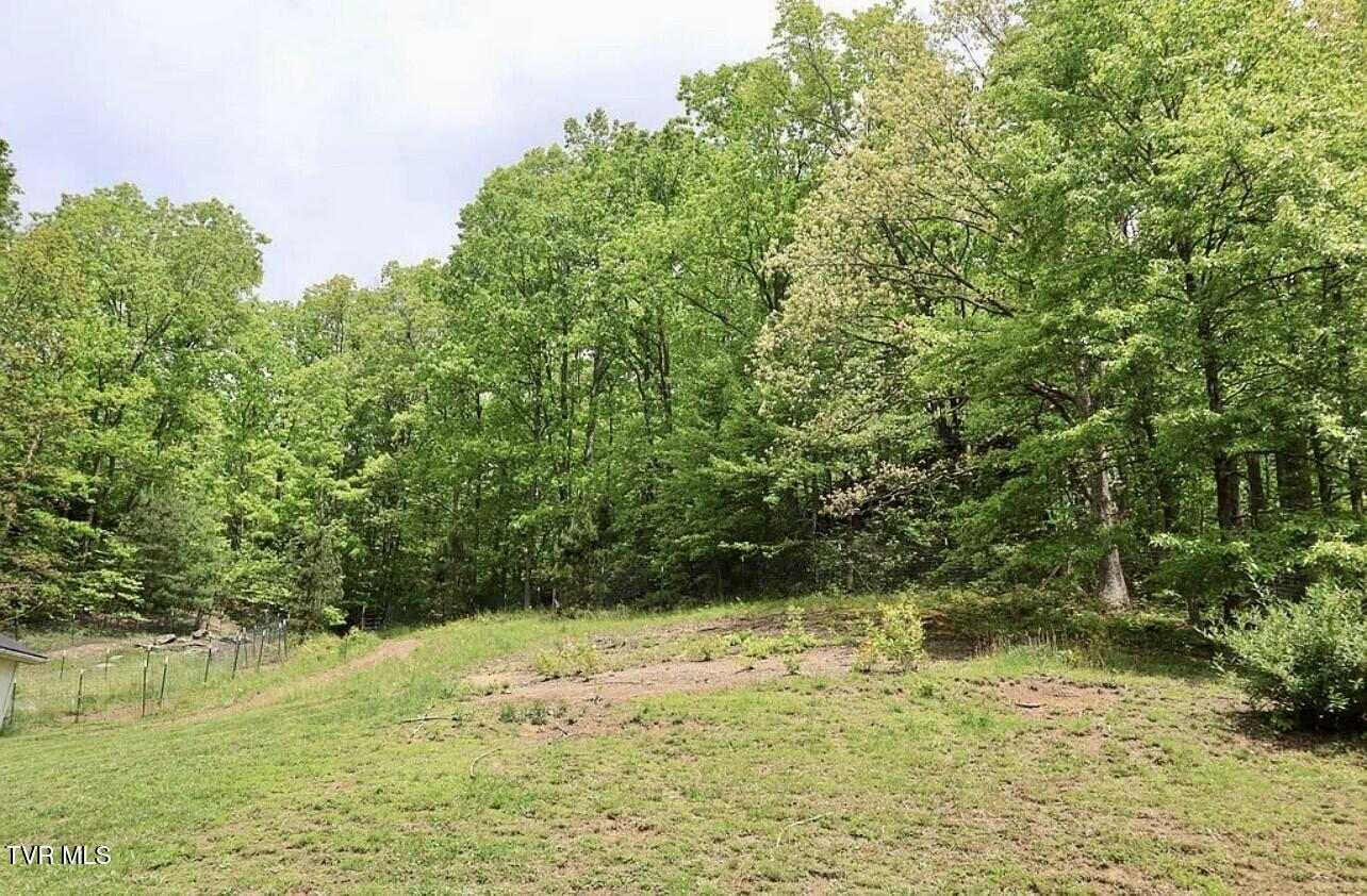 3219 Dungannon Road Coeburn, VA 24230 - Photo 60 of 65 Yard 11