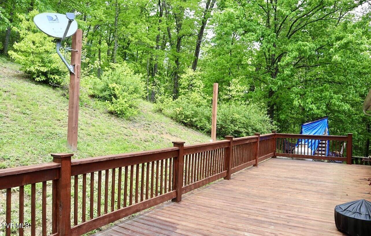 3219 Dungannon Road Coeburn, VA 24230 - Photo 6 of 65 Deck