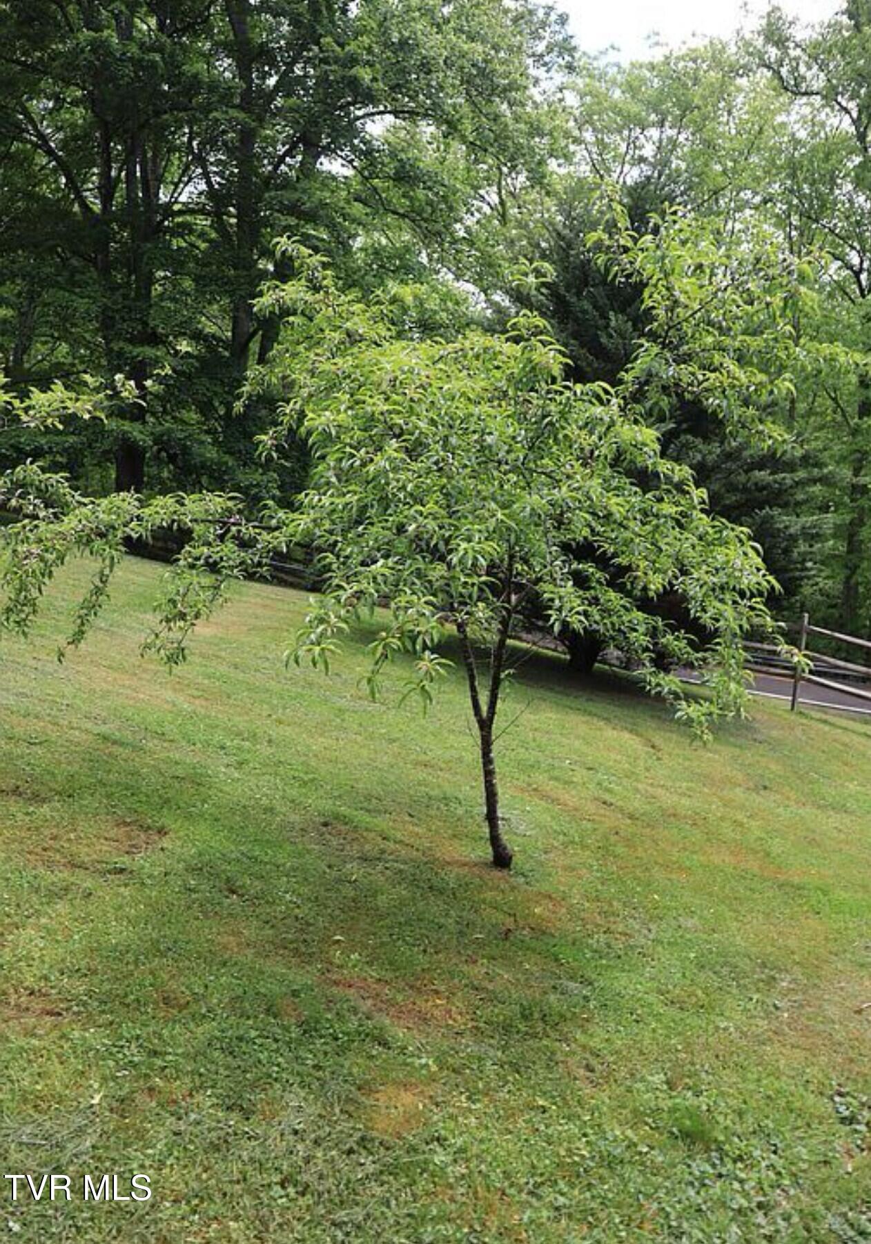 3219 Dungannon Road Coeburn, VA 24230 - Photo 63 of 65 Yard 14