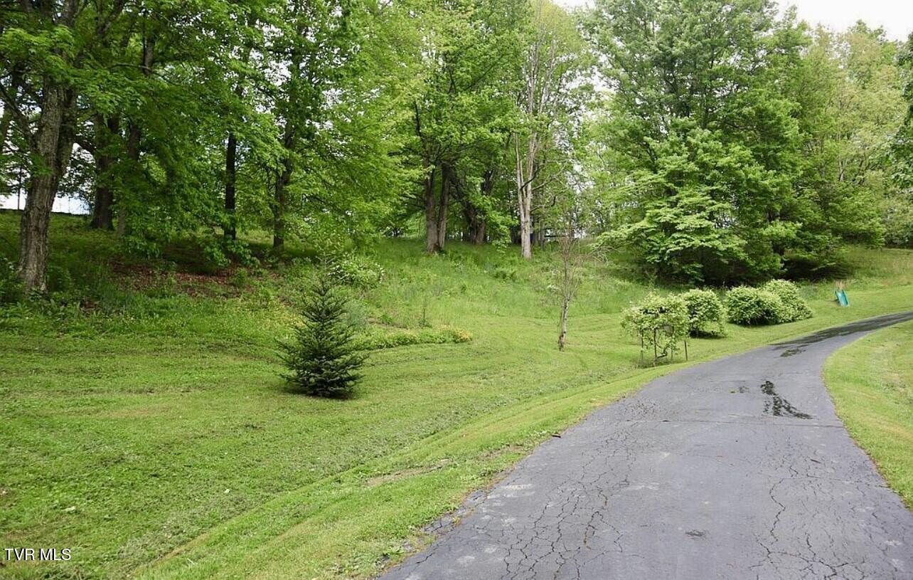 3219 Dungannon Road Coeburn, VA 24230 - Photo 10 of 65 Yard 2