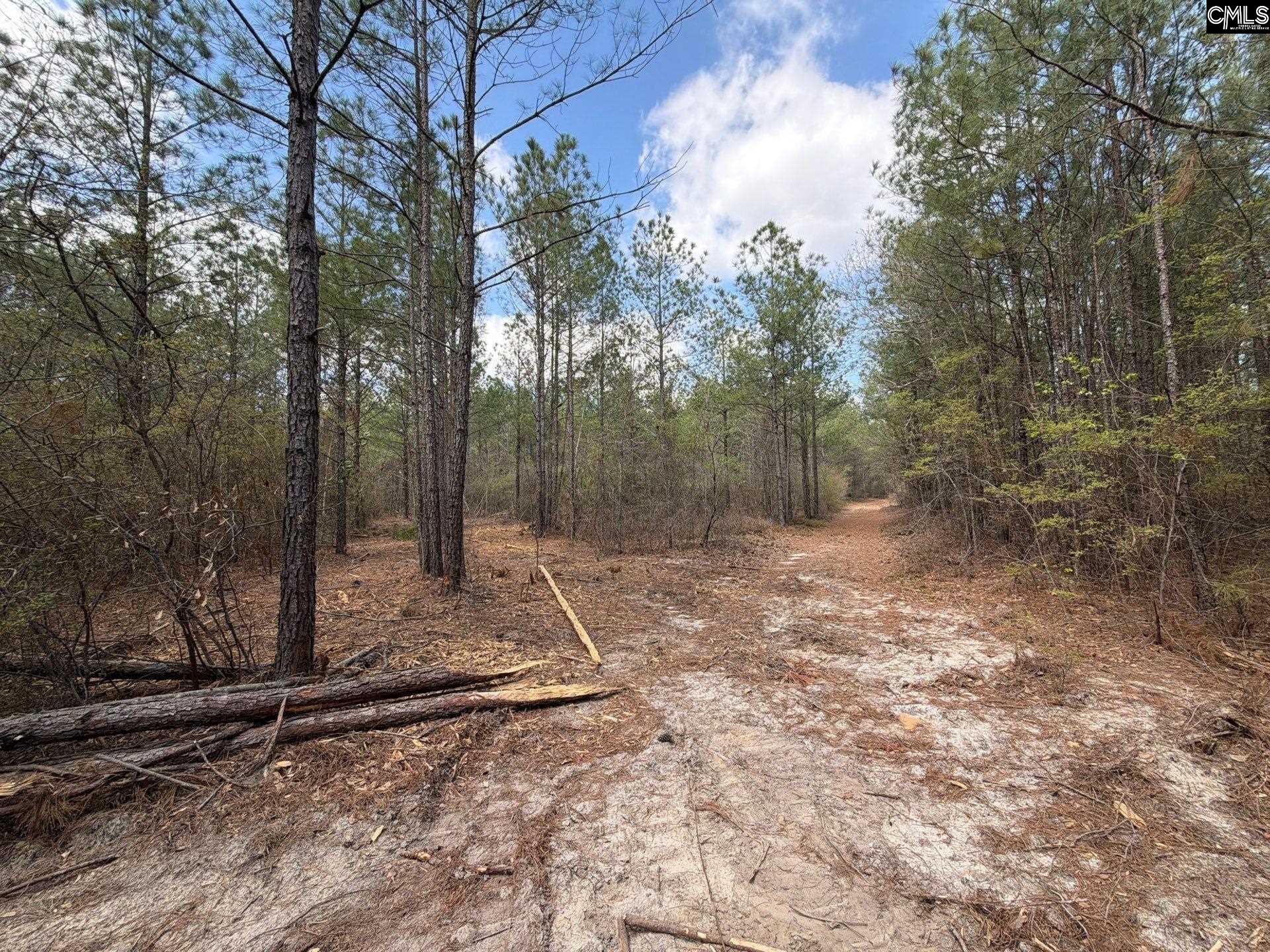 4 Mt Calvary Rd Ridge Spring Ridge Spring, SC 29129 - Photo 26 of 40