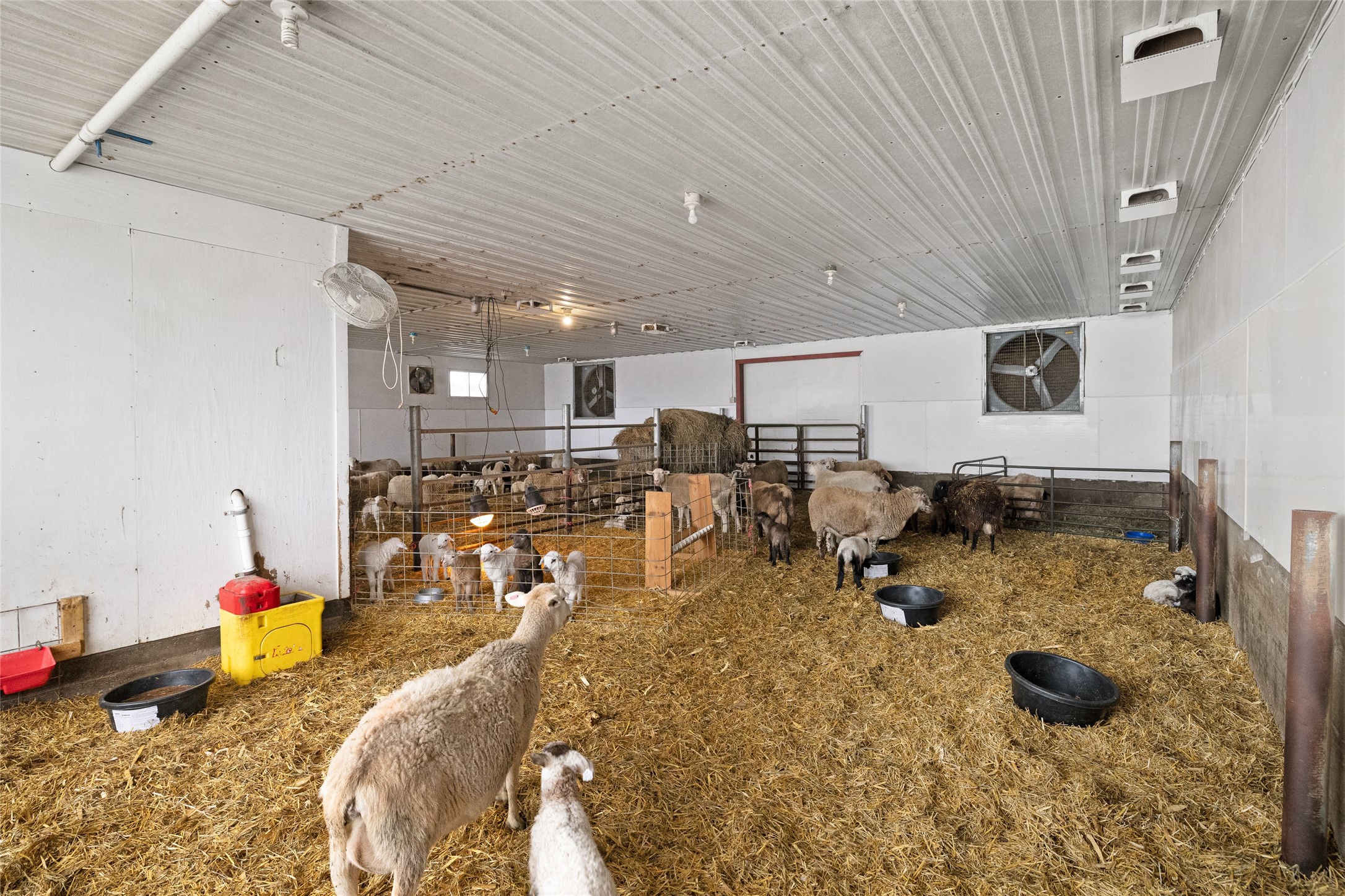 2435 50th Avenue Elk Mound, WI 54739 - Photo 26 of 51