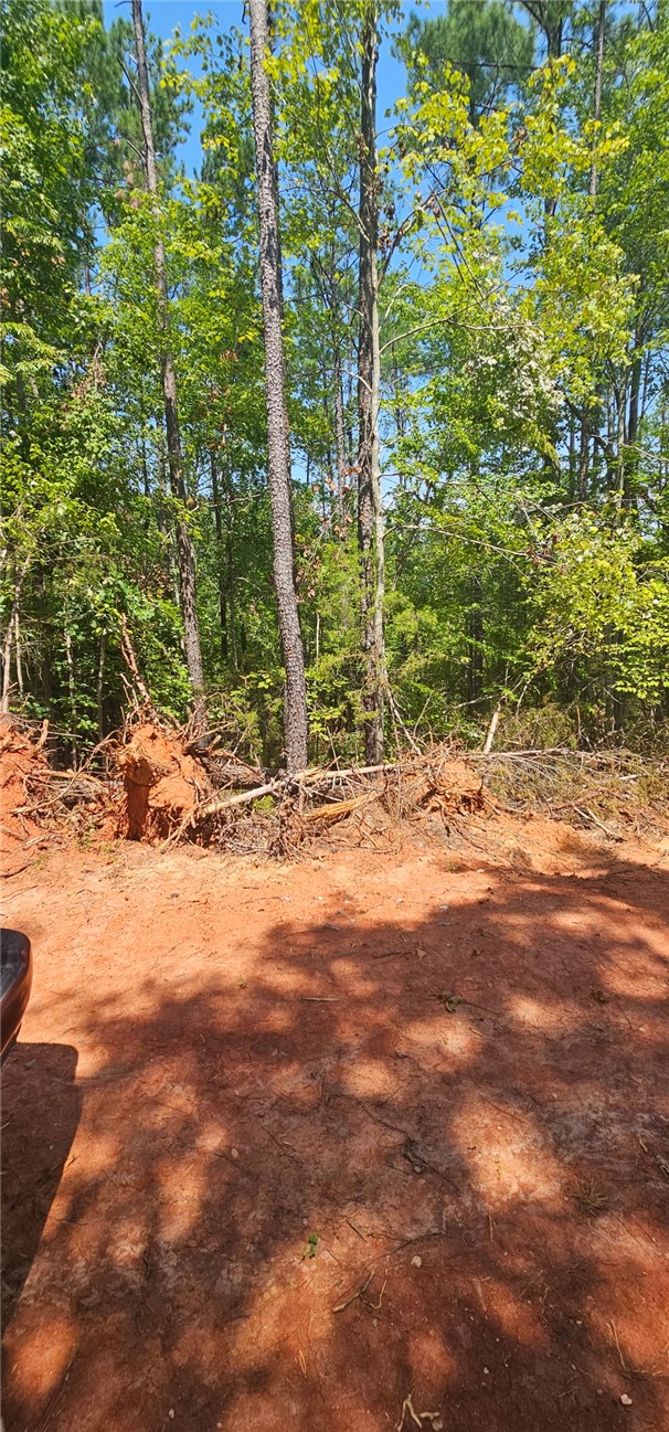 1702 Goings Road Chester, SC 29706 - Photo 15 of 24 Towering trees line the cleared boundary of this wooded property under a clear blue sky.