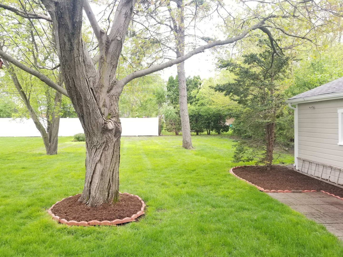 120 North Maple Street Mount Prospect, IL 60056 - Photo 20 of 20